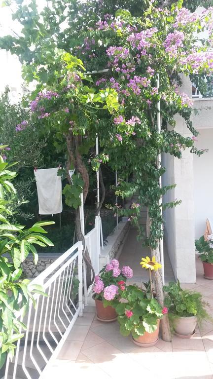 Apartments Dragan تروغير المظهر الخارجي الصورة